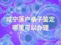 咸宁落户亲子鉴定哪里可以办理