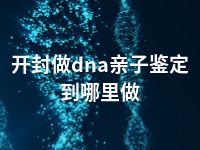 开封做dna亲子鉴定到哪里做