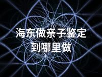 海东做亲子鉴定到哪里做