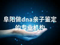 阜阳做dna亲子鉴定的专业机构