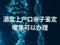 酒泉上户口亲子鉴定哪里可以办理