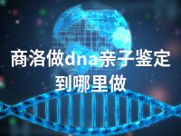 商洛做dna亲子鉴定到哪里做