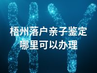 梧州落户亲子鉴定哪里可以办理