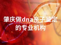 肇庆做dna亲子鉴定的专业机构