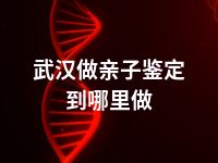 武汉做亲子鉴定到哪里做