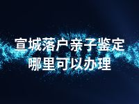 宣城落户亲子鉴定哪里可以办理