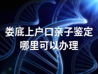 娄底上户口亲子鉴定哪里可以办理