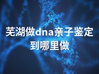 芜湖做dna亲子鉴定到哪里做