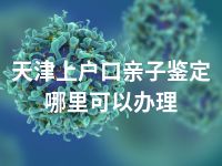 天津上户口亲子鉴定哪里可以办理