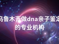 乌鲁木齐做dna亲子鉴定的专业机构