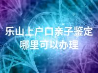 乐山上户口亲子鉴定哪里可以办理