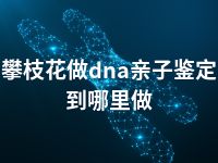 攀枝花做dna亲子鉴定到哪里做