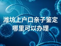 潍坊上户口亲子鉴定哪里可以办理