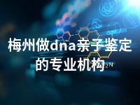 梅州做dna亲子鉴定的专业机构