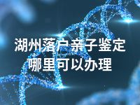 湖州落户亲子鉴定哪里可以办理