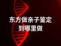 东方做亲子鉴定到哪里做