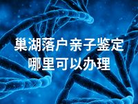 巢湖落户亲子鉴定哪里可以办理