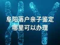 阜阳落户亲子鉴定哪里可以办理