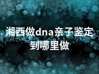 湘西做dna亲子鉴定到哪里做