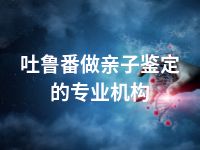 吐鲁番做亲子鉴定的专业机构