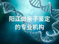 阳江做亲子鉴定的专业机构