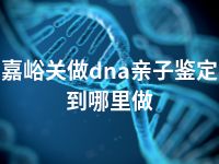 嘉峪关做dna亲子鉴定到哪里做