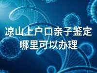 凉山上户口亲子鉴定哪里可以办理