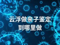 云浮做亲子鉴定到哪里做