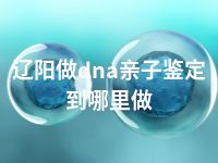 辽阳做dna亲子鉴定到哪里做