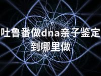 吐鲁番做dna亲子鉴定到哪里做