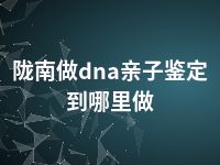 陇南做dna亲子鉴定到哪里做