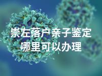 崇左落户亲子鉴定哪里可以办理