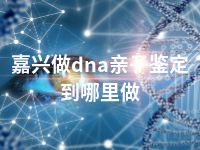 嘉兴做dna亲子鉴定到哪里做