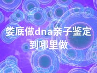 娄底做dna亲子鉴定到哪里做