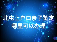 北屯上户口亲子鉴定哪里可以办理