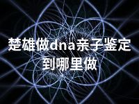 楚雄做dna亲子鉴定到哪里做