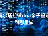 博尔塔拉做dna亲子鉴定到哪里做