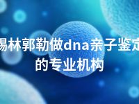 锡林郭勒做dna亲子鉴定的专业机构