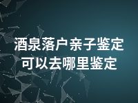 酒泉落户亲子鉴定可以去哪里鉴定