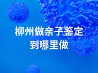 柳州做亲子鉴定到哪里做