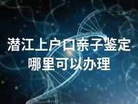 潜江上户口亲子鉴定哪里可以办理