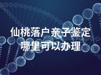 仙桃落户亲子鉴定哪里可以办理