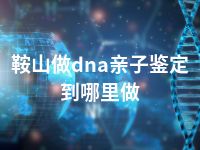 鞍山做dna亲子鉴定到哪里做