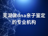 芜湖做dna亲子鉴定的专业机构