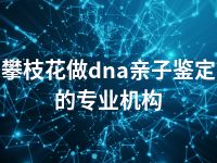 攀枝花做dna亲子鉴定的专业机构