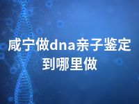 咸宁做dna亲子鉴定到哪里做