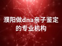 濮阳做dna亲子鉴定的专业机构