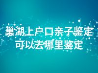 巢湖上户口亲子鉴定可以去哪里鉴定