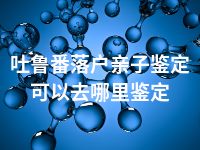 吐鲁番落户亲子鉴定可以去哪里鉴定