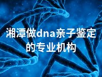 湘潭做dna亲子鉴定的专业机构